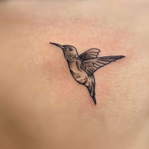 Cam Oct 2020 hummingbird