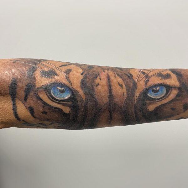 Cam Nov 2020 Blue tiger eyes