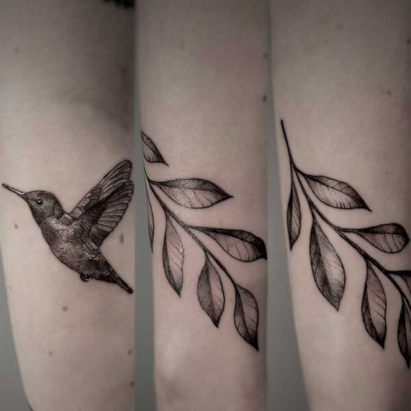 black and white tattoo of a hummingbird and a vine that wraps around the arm