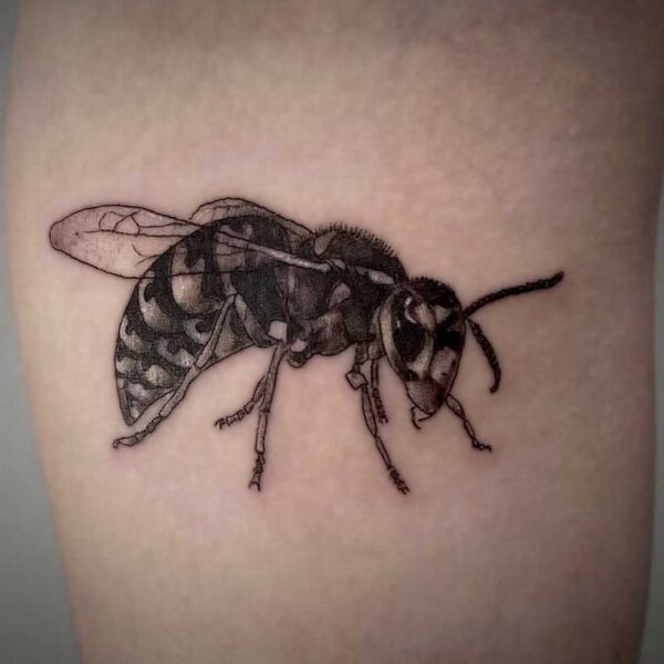 black and white tattoo of a wasp