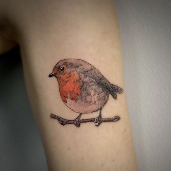 coloured tattoo of a robin