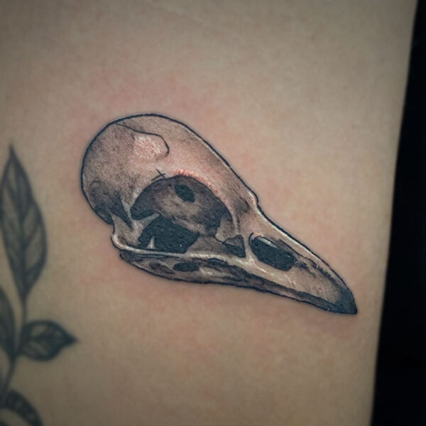 black and white tattoo of a bird skull