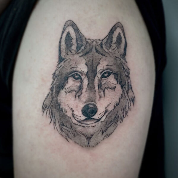 black and grey tattoo of a wolf's face