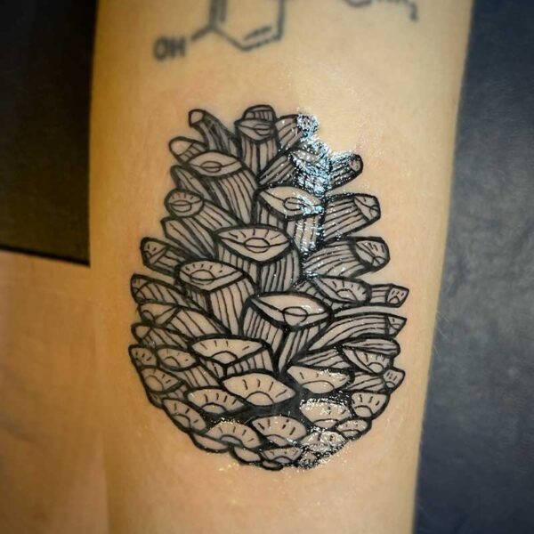 black line tattoo of a pine cone