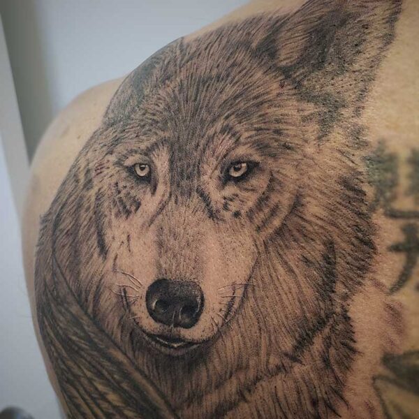 realism tattoo of a wolf