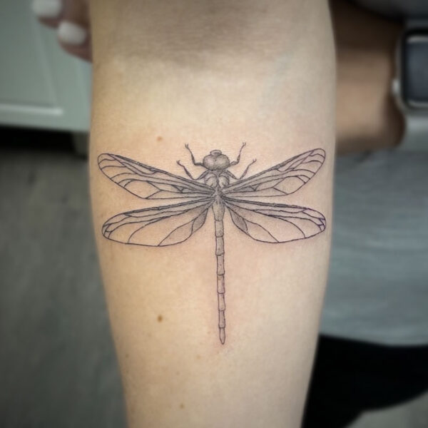 atticus tattoo, black and grey tattoo of a dragonfly