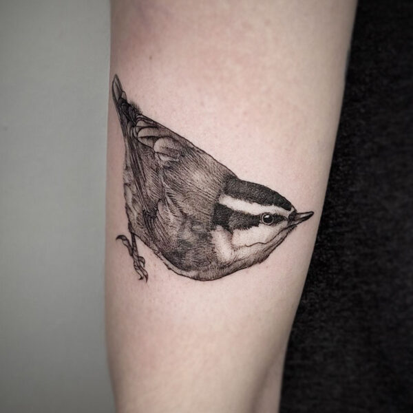 atticus tattoo, realsim tattoo of a chickadee
