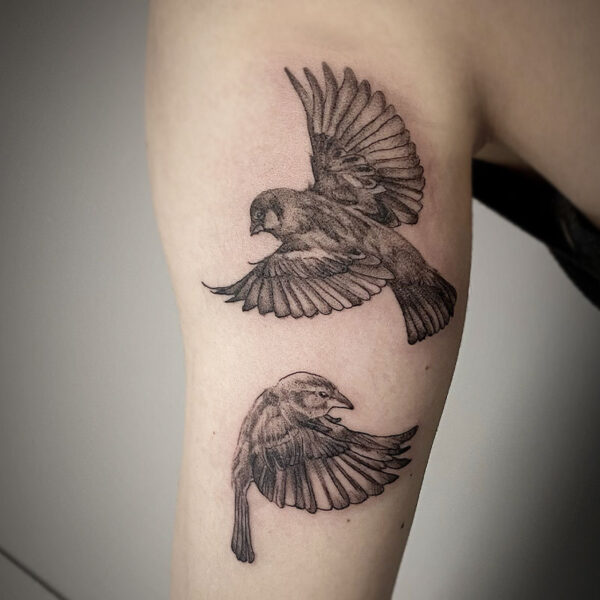 atticus tattoo, black and grey tattoo realism tattoo of two chickadees