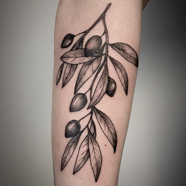 atticus tattoo, black and grey tattoo of a stem of berries and leaves