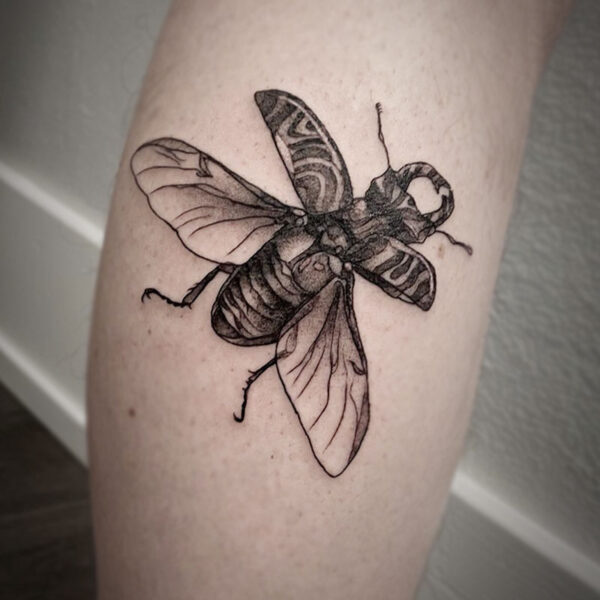 atticus tattoo, black and grey realism tattoo of a beetle with a zebra pattern