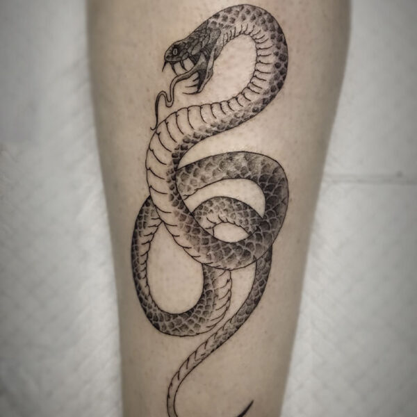 atticus tattoo, black and grey tattoo of a snake