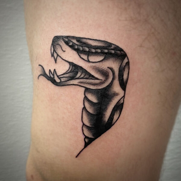 atticus tattoo, black and grey american traditional style tattoo of a snake head