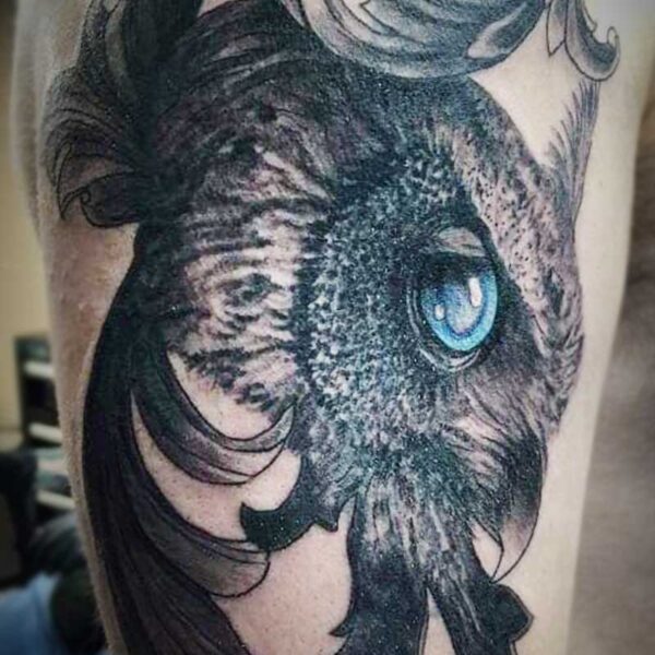 atticus tattoo, black and grey tattoo of an owl's face with a blue eye