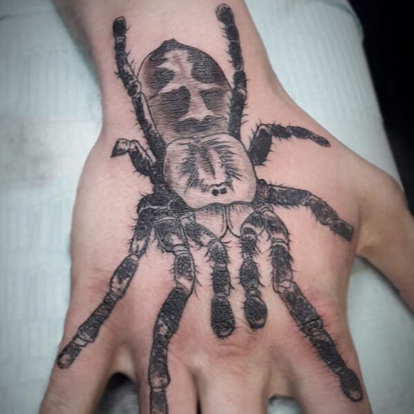 atticus tattoo, black and grey realism tattoo of a tarantula