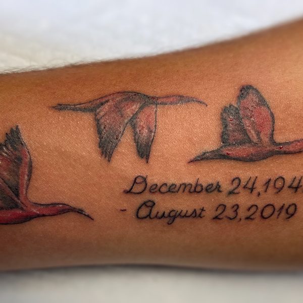 George Nov 2020 Birds and dates