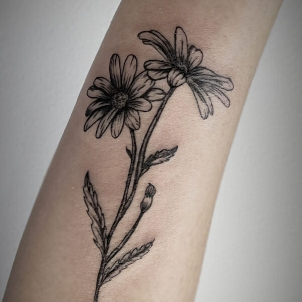 realistic black and white tattoo of a stem of daisies