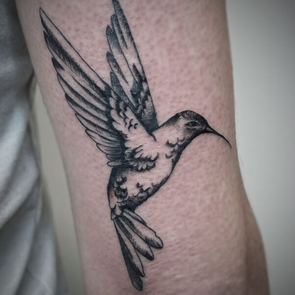 black and white tattoo of a hummingbird