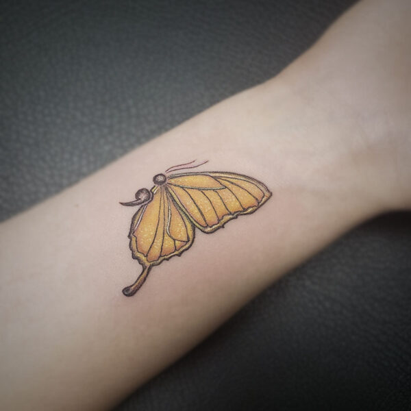 atticus tattoo, coloured tattoo of a butterfly that looks like a yellow butterfly