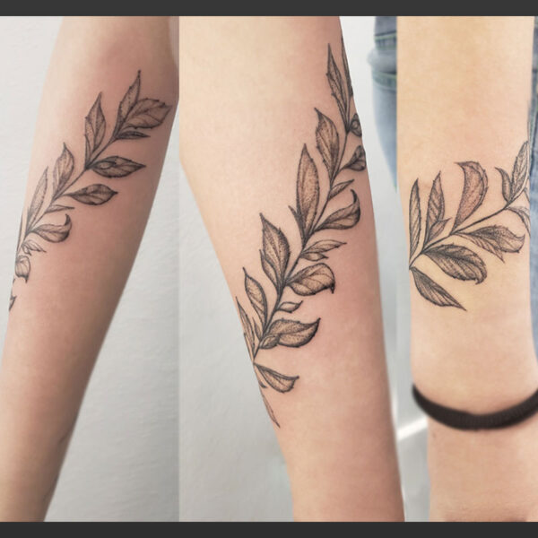 atticus tattoo, black and white tattoo of a vine
