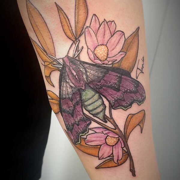 atticus tattoo, coloured tattoo of a moth and flowers