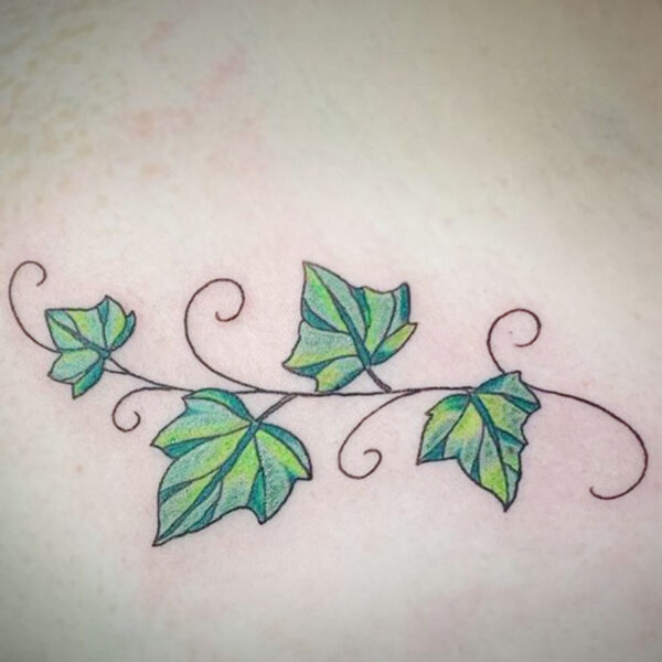 atticus tattoo, coloured tattoo of an ivy