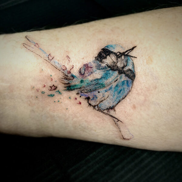 atticus tattoo, water colour tattoo of a small, blue bird