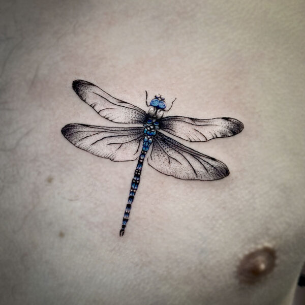 atticus tattoo, realism tattoo of a dragonfly with a blue head