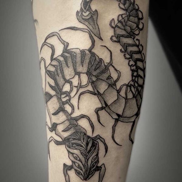 atticus tattoo, black and grey tattoo of a centipede monster
