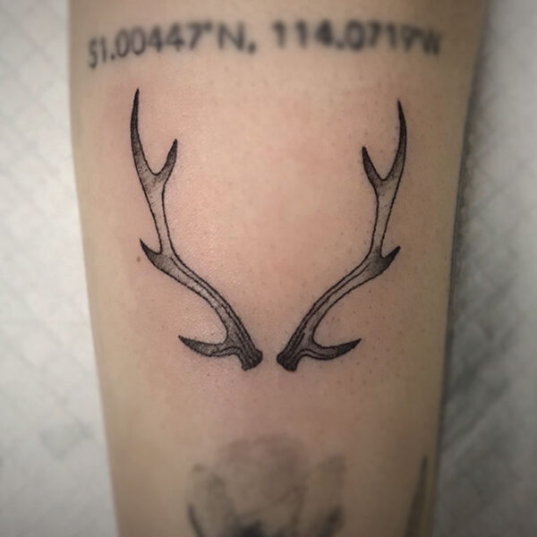 atticus tattoo, black and grey tattoo of two deer antlers
