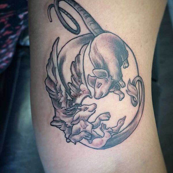 atticus tattoo, black and grey tattoo of a mythical rat with wings and an actual rat posed in the shape of a ying-yang circle