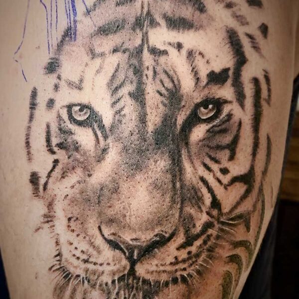 atticus tattoo, black and grey tattoo of a tiger's face