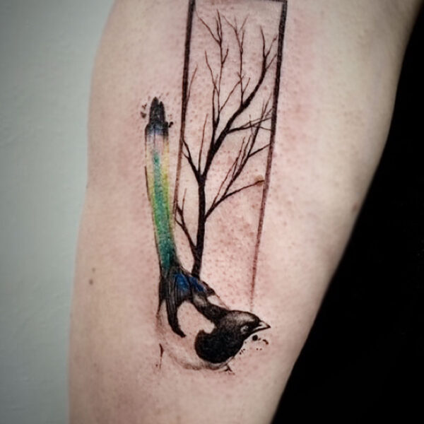 atticus tattoo, coloured tattoo of a magpie with a rectangle and tree in the background