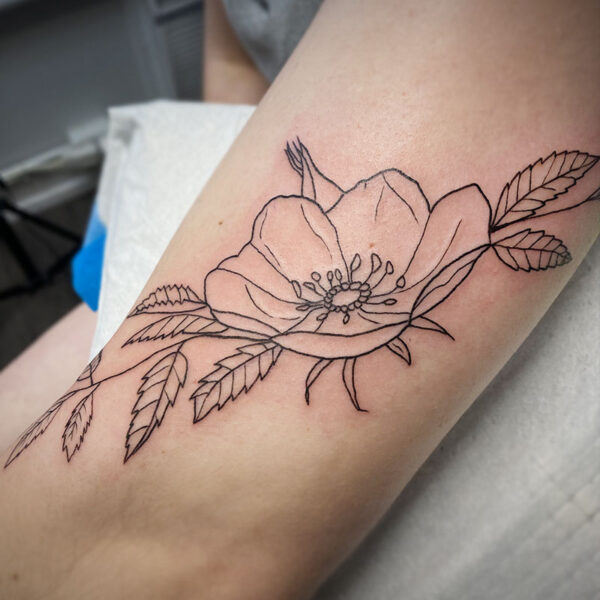 atticus tattoo, fine line tattoo of a wild rose and leaves