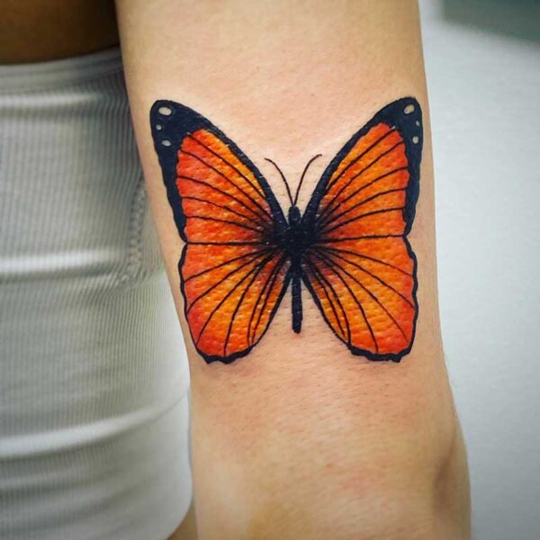 atticus tattoo, coloured tattoo of a red and orange butterfly