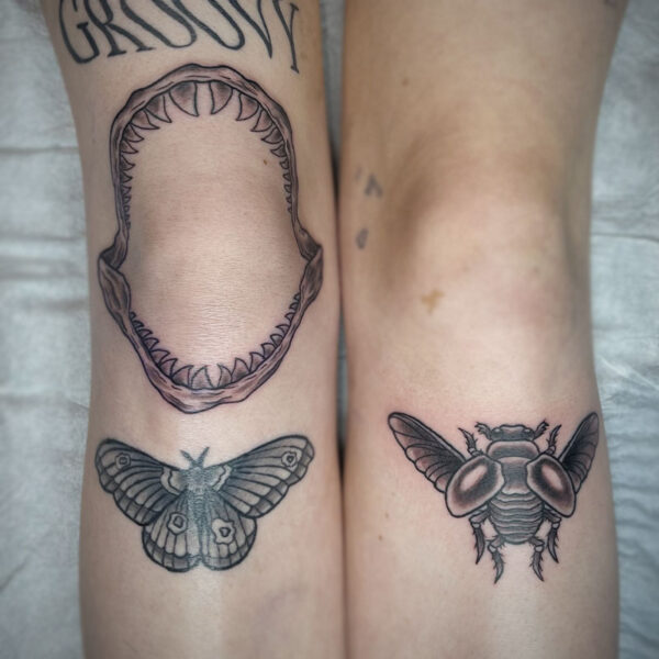 atticus tattoo, black and grey American traditional tattoos of a moth, beetle and shark jaw