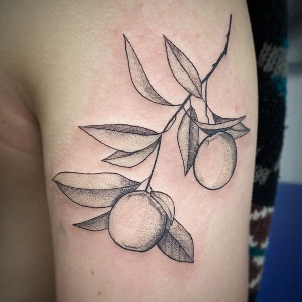 atticus tattoo, black and grey tattoo of a branch of leaves with two oranges on it