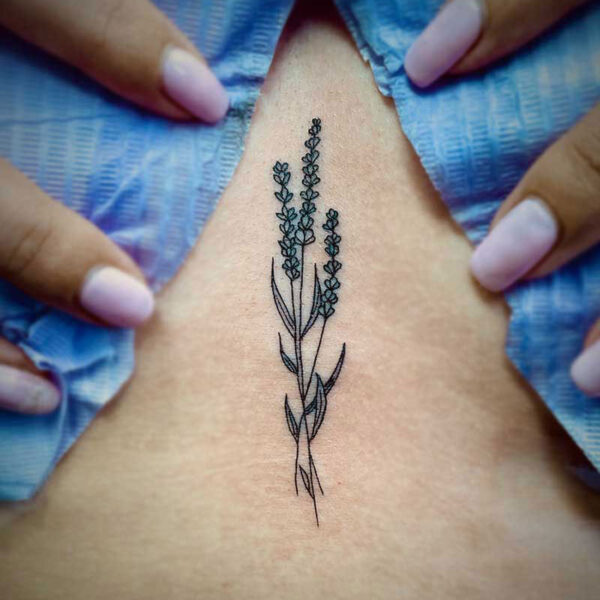 atticus tattoo, fine line tattoo of lavender stalks