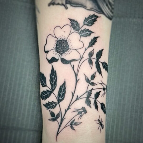 atticus tattoo, black and white tattoo of a stem of wild rose