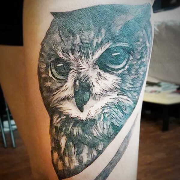 atticus tattoo, black and grey realism tattoo of an owl