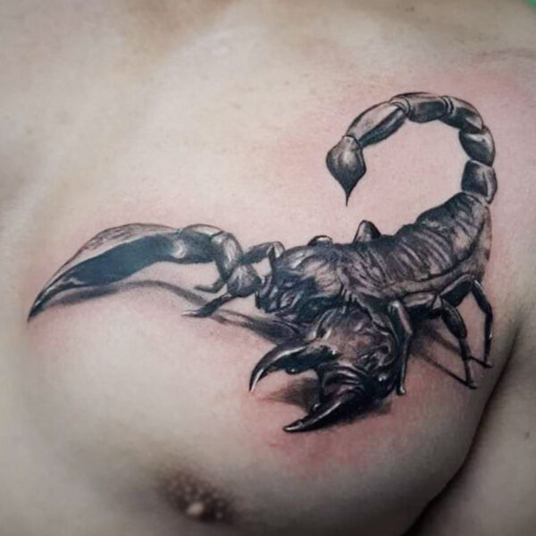 atticus tattoo, black and grey realism tattoo of a scorpion