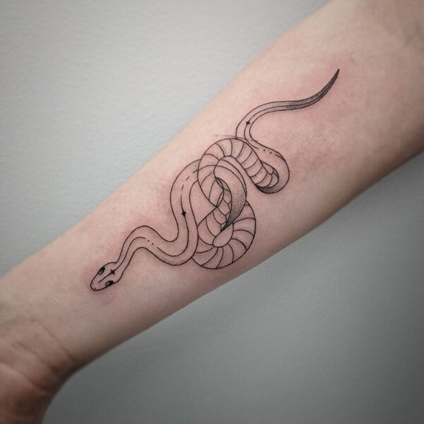 atticus tattoo, fine line tattoo of a snake