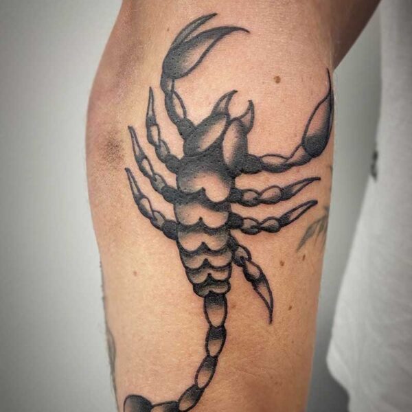 atticus tattoo, black and grey tattoo of a scorpion