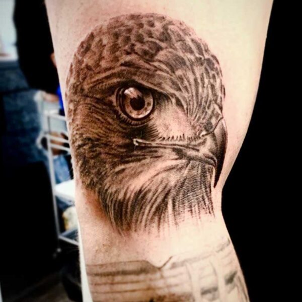 black and grey realism tattoo of a hawks head