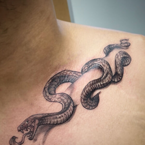 atticus tattoo, black and white tattoo of a snake
