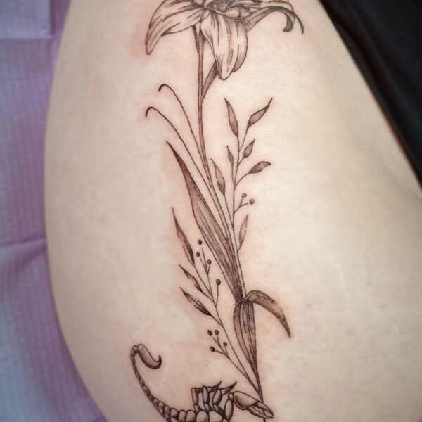 attics tattoo, fine line tattoo of a lily with a skull in the center and a scorpion at the bottom