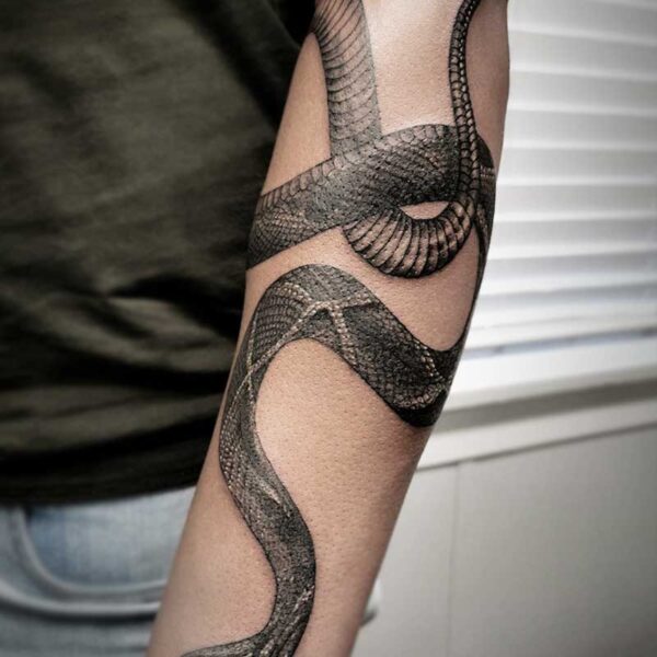 atticus tattoo, black and white realism tattoo of a snake