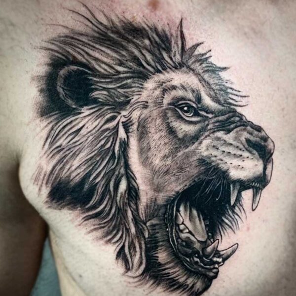 atticus tattoo, black and grey realism tattoo of a lion roaring