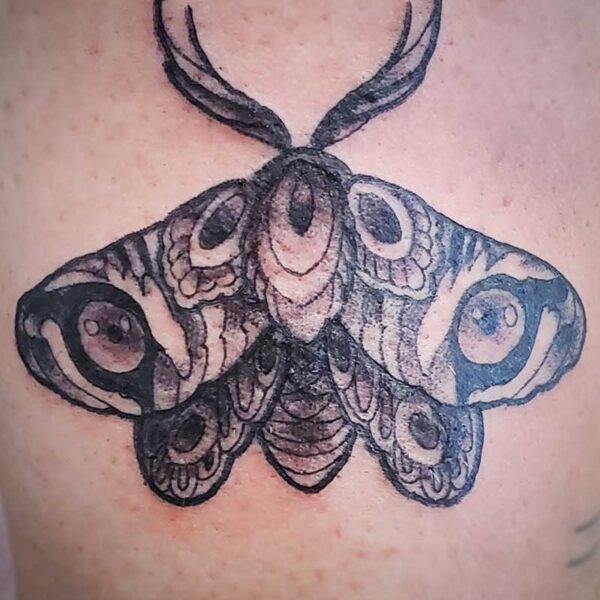 atticus tattoo, black and grey tattoo of a moth with tiger eyes on its wings