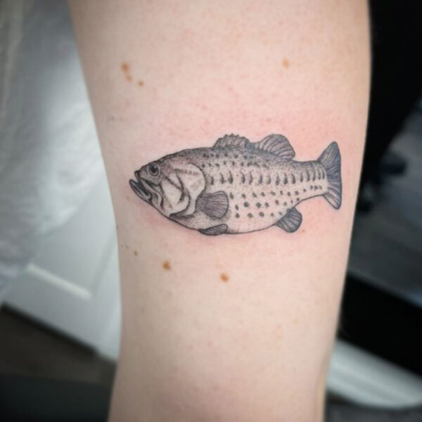 atticus tattoo, black and grey, realism tattoo of a fish