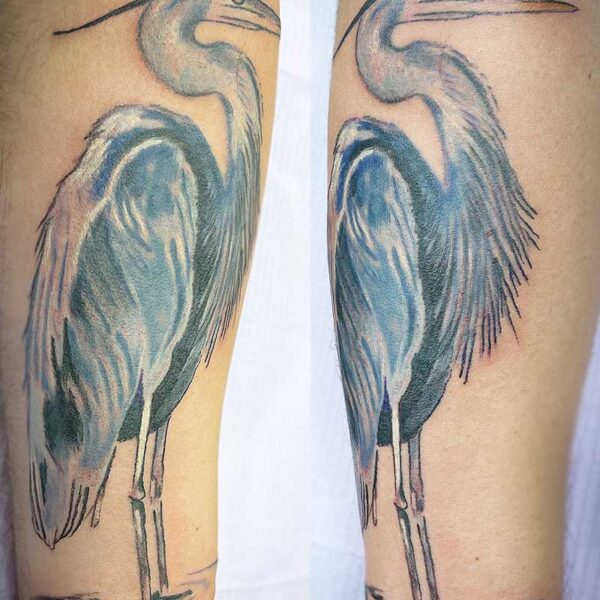 atticus tattoo, coloured tattoo of a blue heron